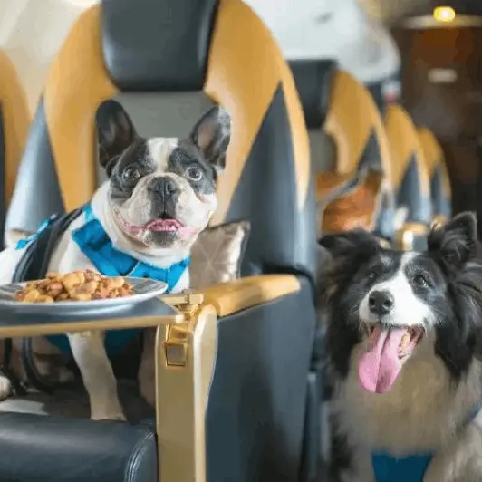 Customised In-Flight Amenities