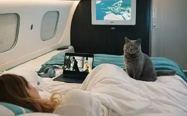 Pet Charter Flights Singapore: A Calmer Way for Your Pets to Travel Passenger relaxing on a private jet cabin bed with a cat beside her, watching a film on a laptop during a pet-friendly charter flight