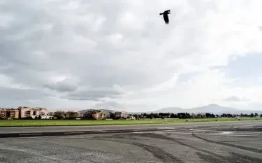 Private Jet Charter to Rome Ciampino Airport (CIA/LIRA) Open tarmac at Rome Ciampino Airport with a bird in flight over the runway, mountains and city skyline visible in the background