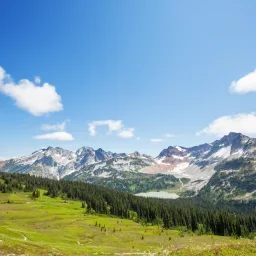Snow-capped mountain peaks rising above green alpine meadows and dense forest under blue sky