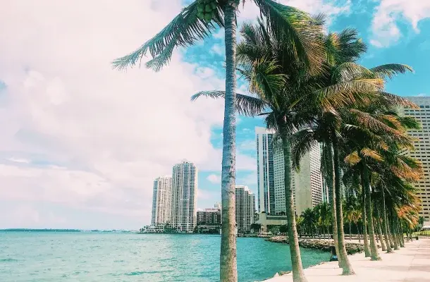 Miami waterfront skyline with towering glass buildings and swaying palm trees along turquoise bay waters