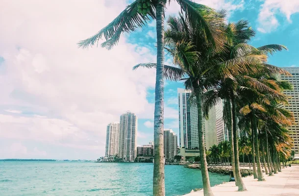 Miami waterfront skyline with towering glass buildings and swaying palm trees along turquoise bay waters