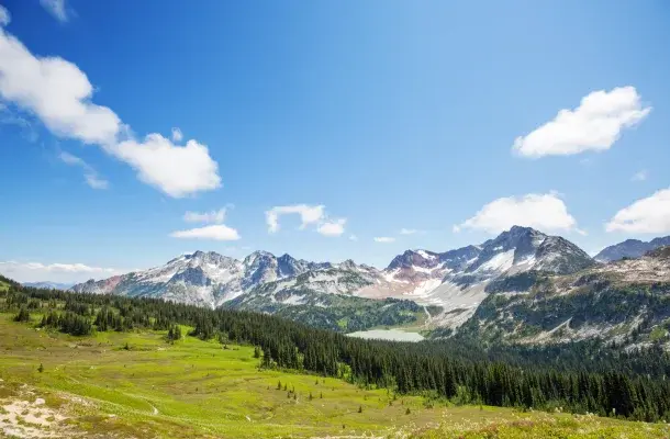 Majestic snow-capped mountain peaks rise above green alpine meadows and dense forests under blue sky