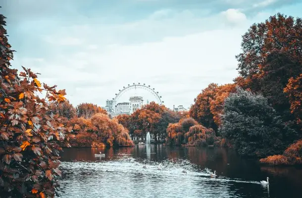 London Eye ferris wheel visible through autumn trees surrounding a tranquil lake in St. James's Park