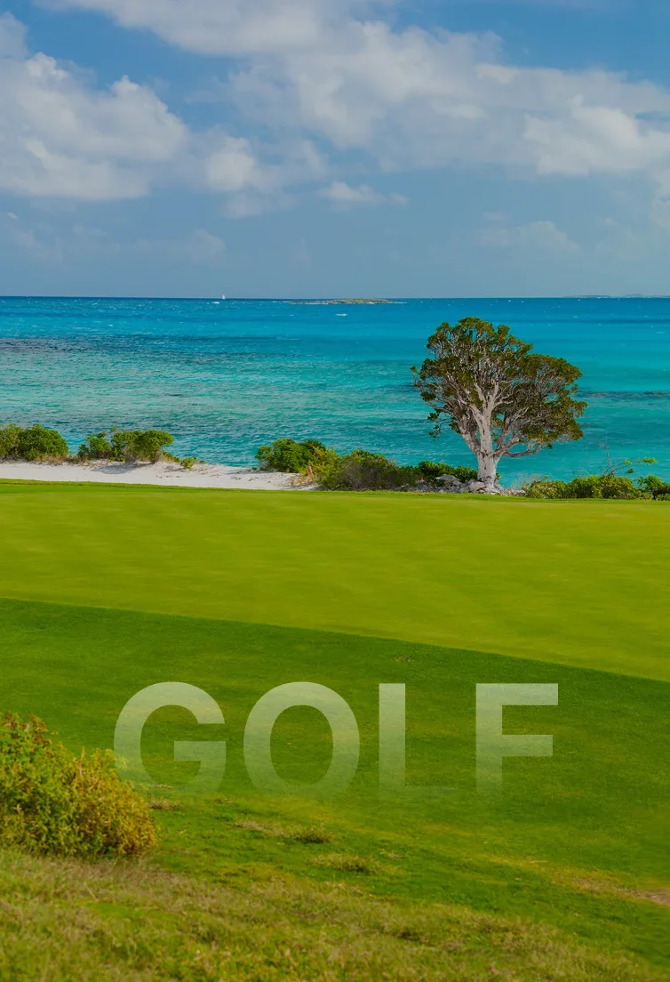 Pristine golf green overlooking turquoise Caribbean waters with tropical vegetation and sandy beach