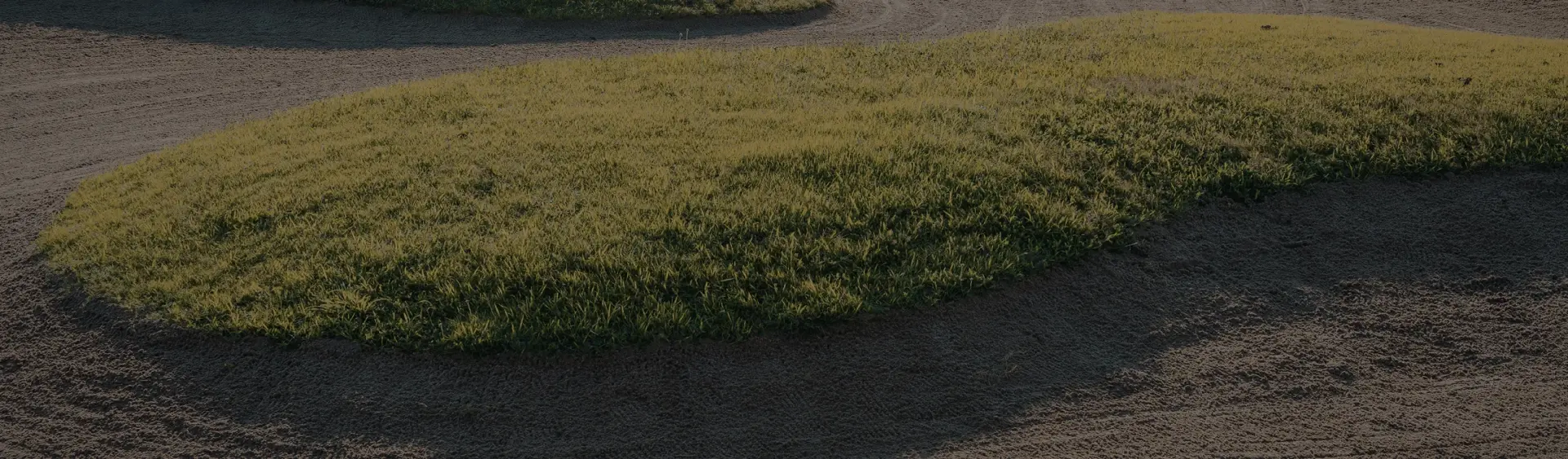 Pristine fairway at Bandon Dunes Golf Resort showcasing championship course conditions for luxury golf travel
