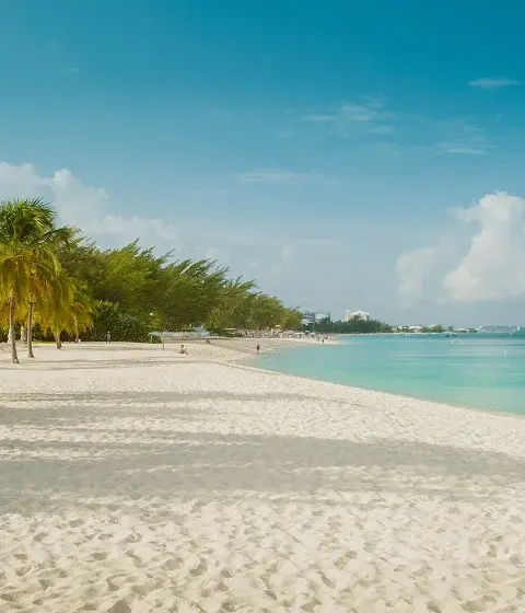 Pristine white sand beach with swaying palm trees and turquoise waters in Grand Cayman, Caribbean
