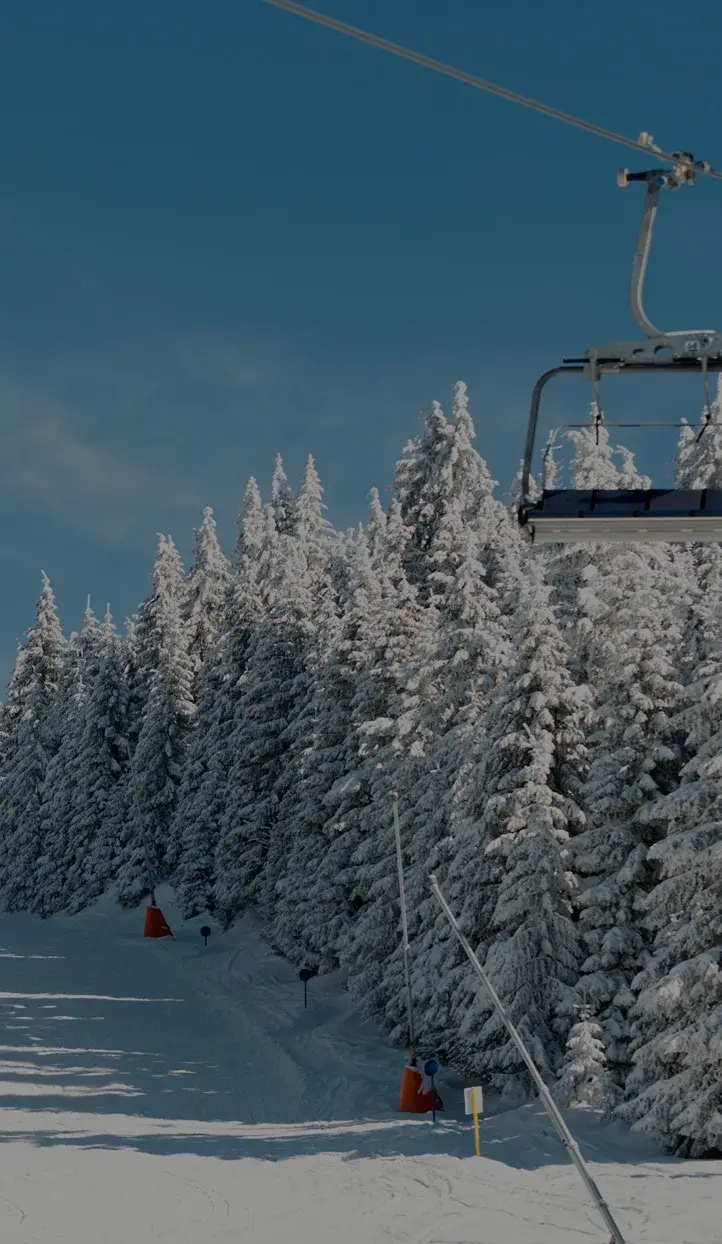 Pristine ski slope winding through snow-covered evergreen trees at Park City luxury ski resort