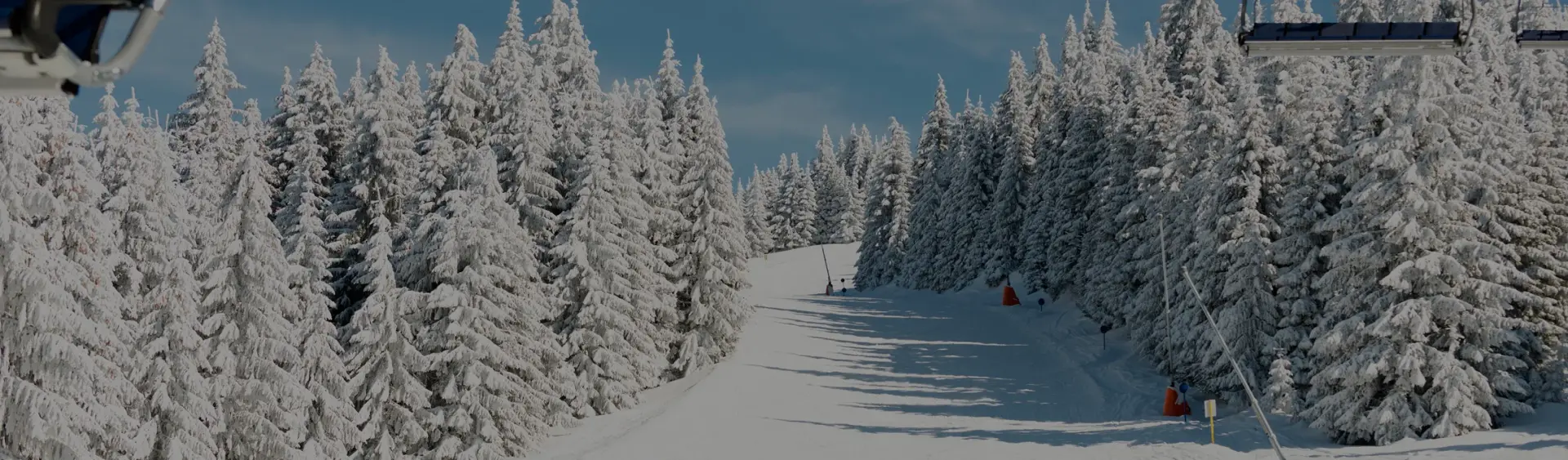 Pristine ski slope winding through snow-covered evergreen trees at Park City luxury ski resort