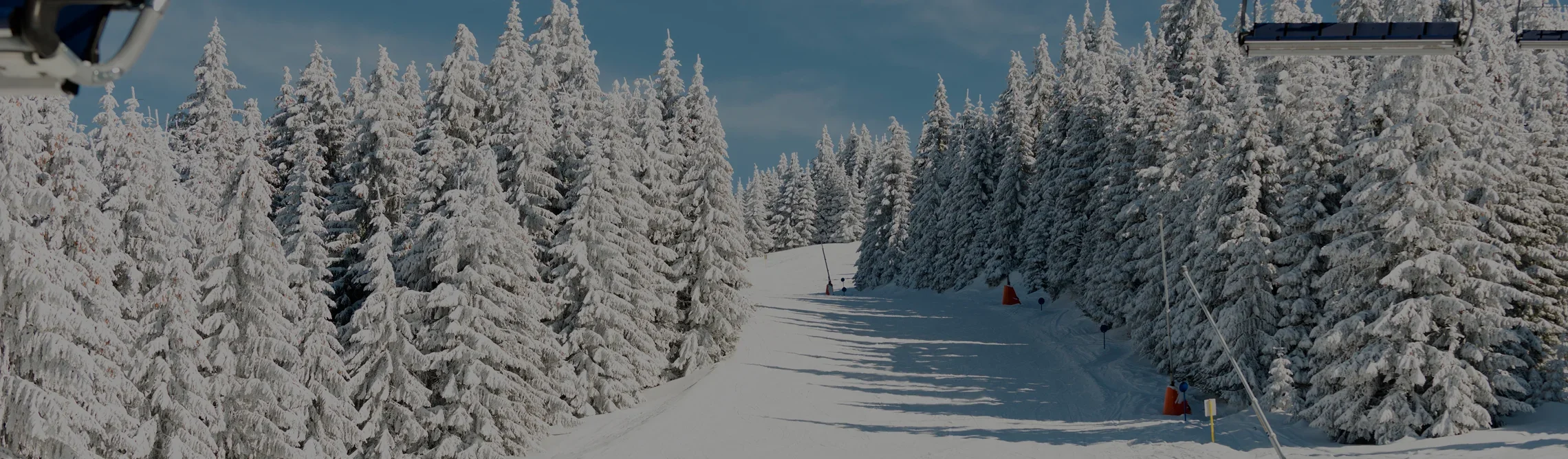 Pristine ski slope winding through snow-covered evergreen trees at Park City luxury ski resort