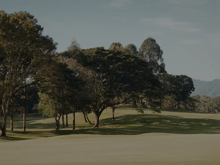 Pristine Pinehurst golf course with rolling fairways, mature trees, and mountain backdrop for luxury travel