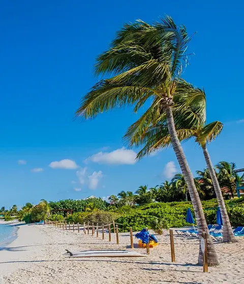 Pristine white sand beach with turquoise waters and palm trees in Providenciales, Turks and Caicos