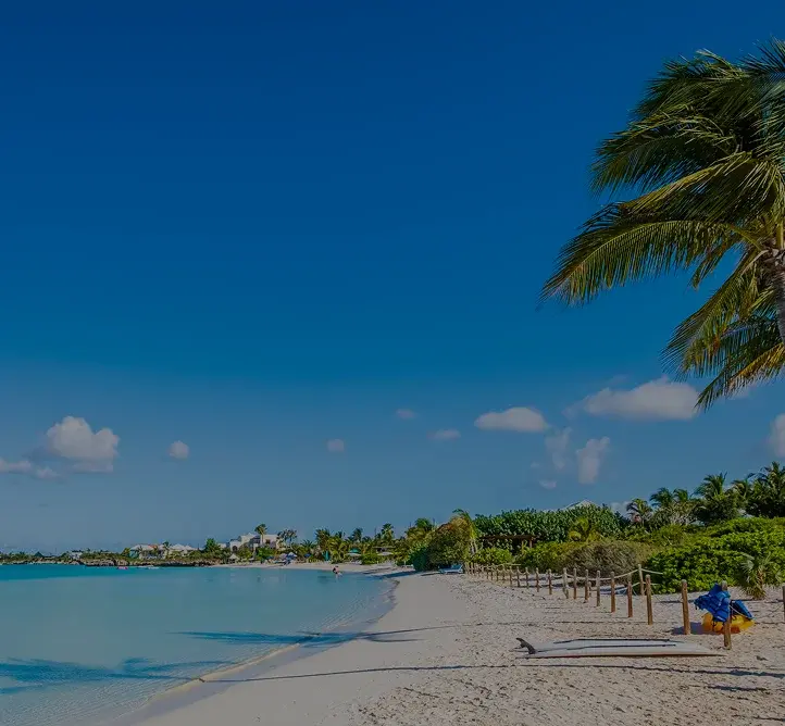 Pristine white sand beach with turquoise waters and palm trees in Providenciales, Turks and Caicos