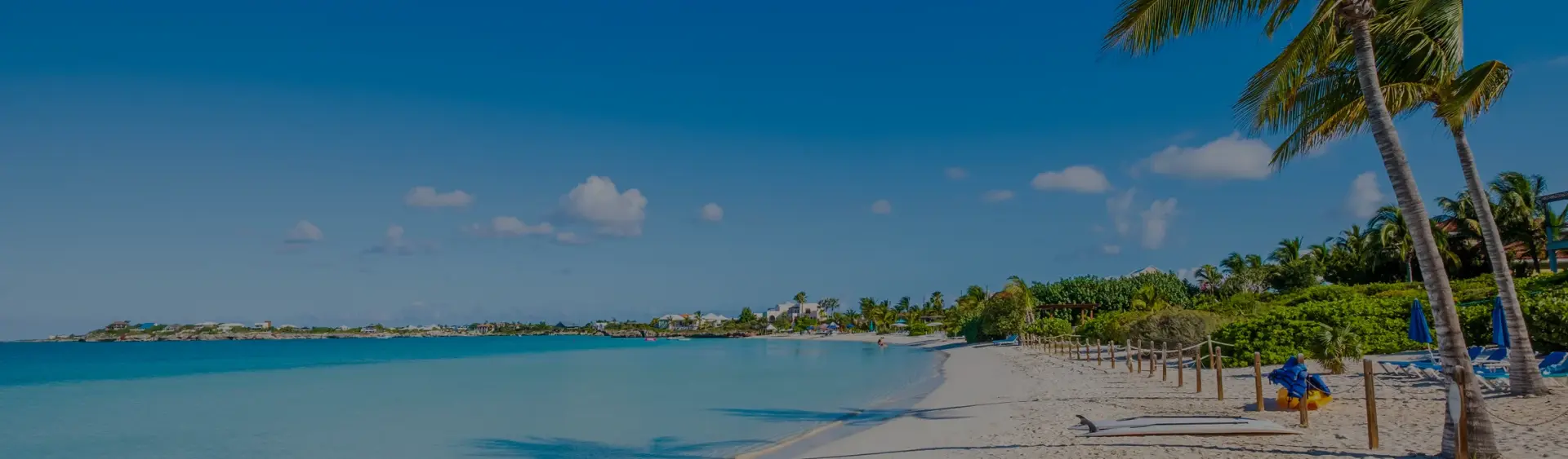 Pristine white sand beach with turquoise waters and palm trees in Providenciales, Turks and Caicos