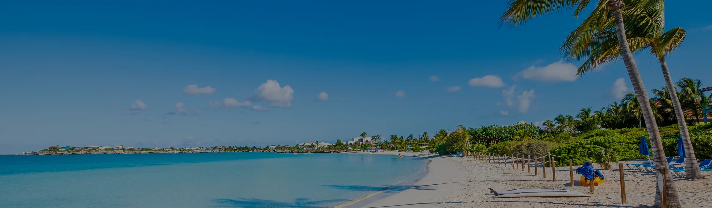Pristine white sand beach with turquoise waters and palm trees in Providenciales, Turks and Caicos