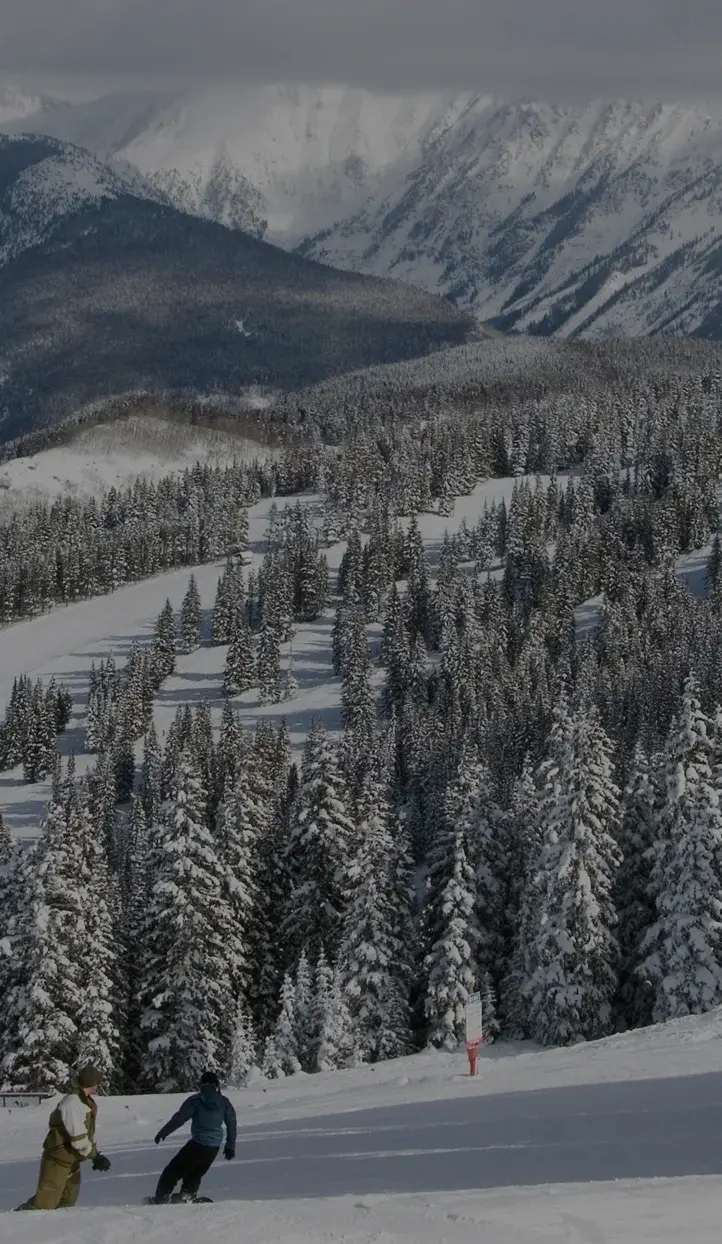 Two skiers descending pristine powder slopes surrounded by snow-laden evergreens at Vail ski resort