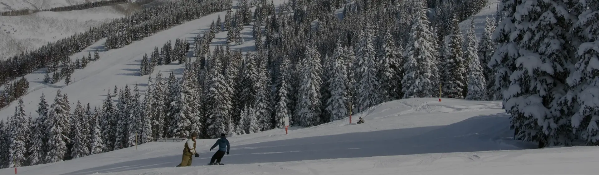 Two skiers descending pristine powder slopes surrounded by snow-laden evergreens at Vail ski resort