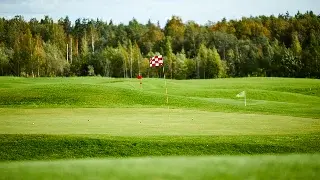 Pristine golf course green with checkered flag pin surrounded by lush fairways and forest backdrop