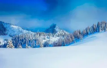 Snow-covered alpine slopes with pristine powder and evergreen trees under brilliant blue skies at Lake Tahoe