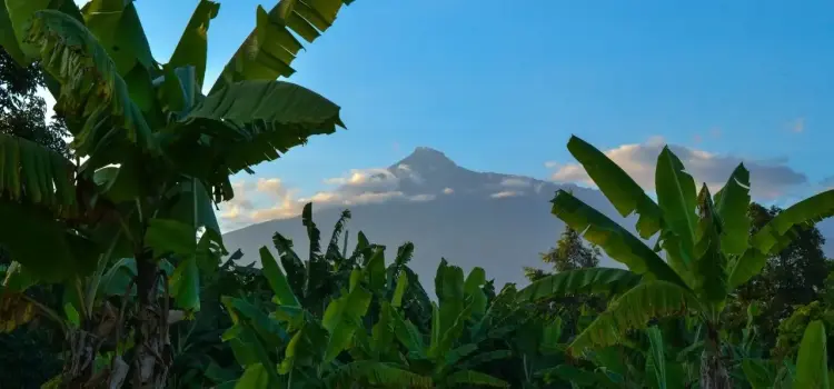Arusha