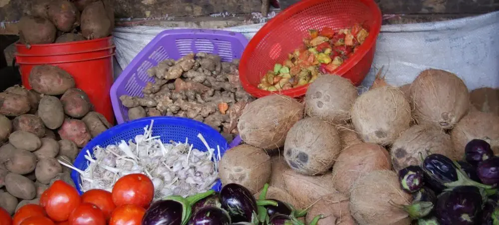 Fresh tropical produce including coconuts, tomatoes, and eggplant displayed at vibrant Arusha market stall