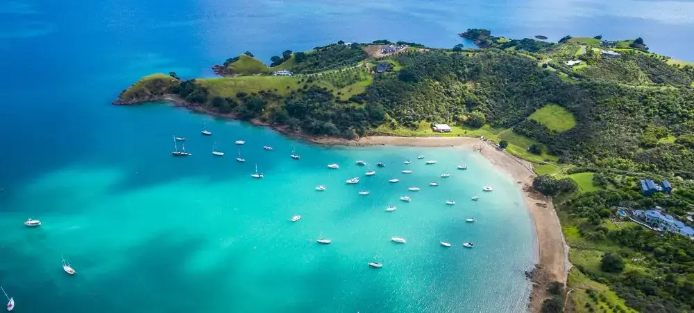 Aerial view of pristine Auckland harbor with luxury yachts anchored in turquoise waters near lush coastline