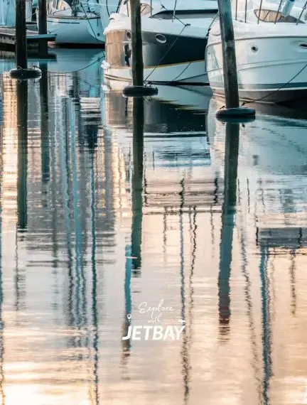Luxury yachts moored at Auckland marina with golden reflections shimmering on calm harbor waters