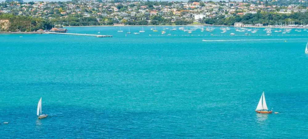 Turquoise waters of Auckland's Waitemata Harbour with sailboats and waterfront homes dotting the hillsides