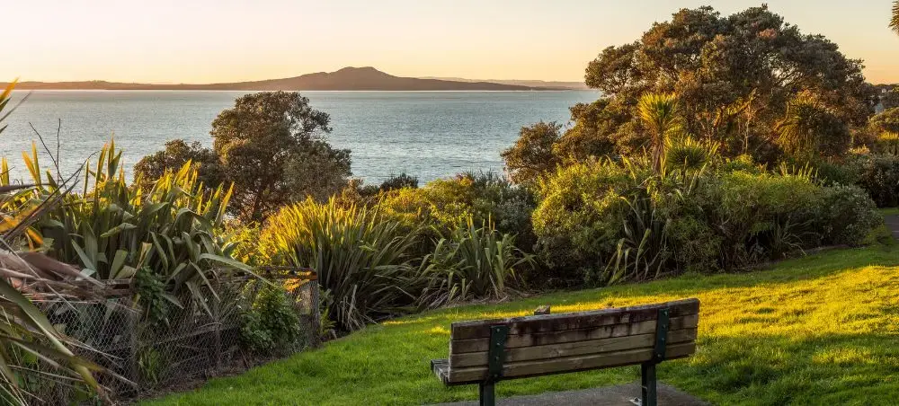 Tranquil Auckland waterfront park bench overlooking Hauraki Gulf at golden hour with native vegetation