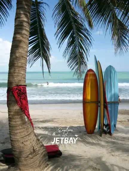 Colorful surfboards rest against palm trees on pristine Bali beach, showcasing tropical paradise destination