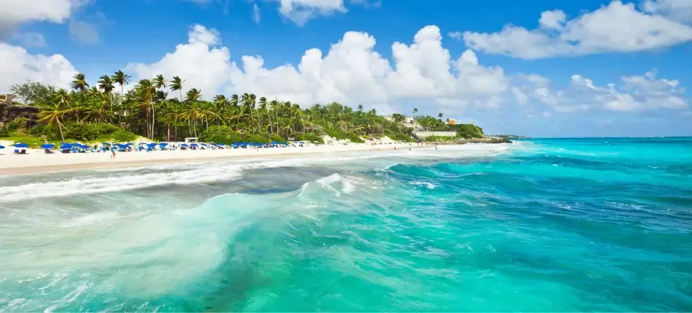Pristine Barbados beach with turquoise waters, white sand, palm trees and blue umbrellas under sunny skies