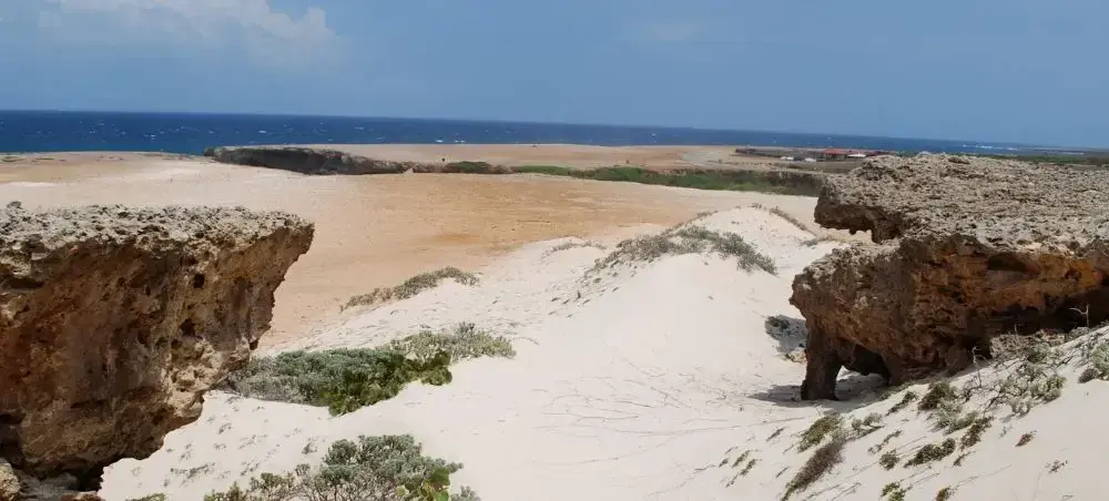 Beach resort and clear coastal waters in Oranjestad on a private jet charter itinerary