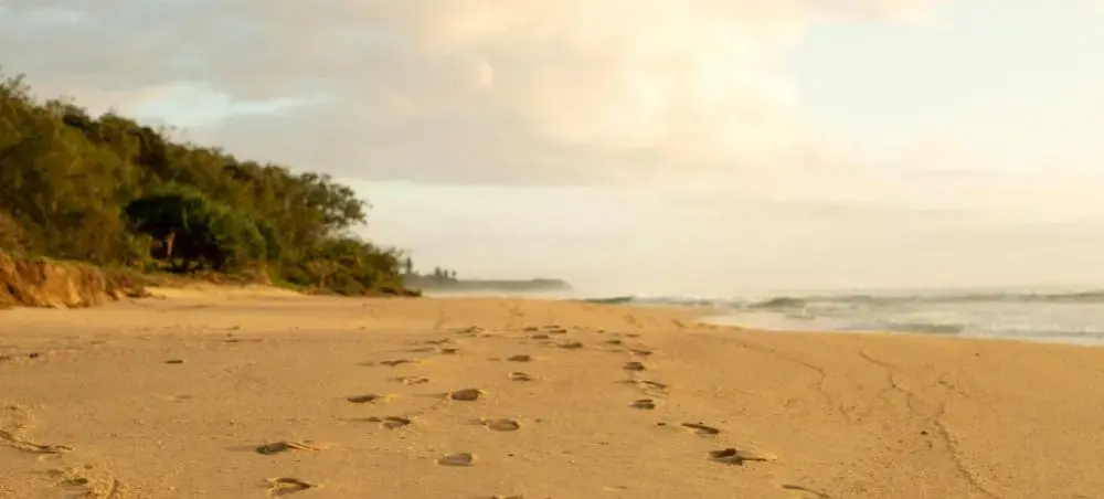 Pristine golden beach with footprints leading toward tropical vegetation near Brisbane, Australia