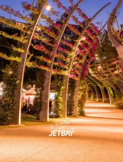 Modern curved pergola with vibrant bougainvillea creating illuminated walkway in Brisbane's South Bank