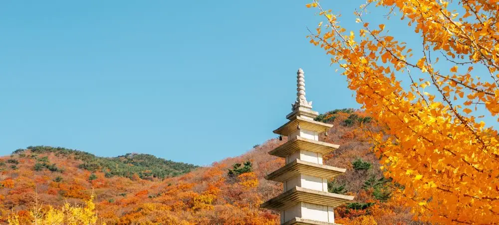Traditional Korean pagoda surrounded by vibrant autumn foliage in Busan's mountainous landscape