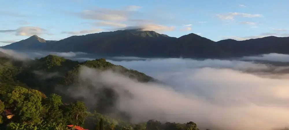 Misty morning clouds drift through lush Venezuelan mountain valleys near Caracas revealing tropical forest canopy