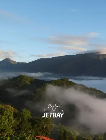 Misty morning clouds drift through lush Venezuelan mountain valleys near Caracas, showcasing tropical highland scenery