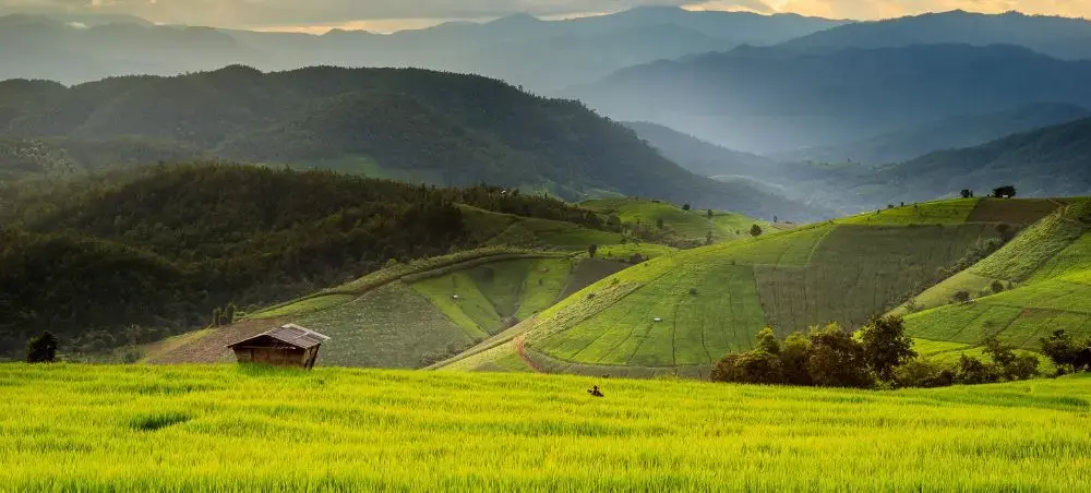 Lush green rice terraces and rolling mountains showcase Chiang Mai's scenic countryside landscape