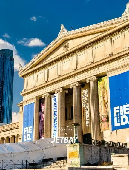Field Museum's neoclassical facade with grand columns showcasing Chicago's premier natural history destination