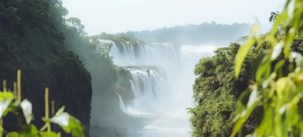 Spectacular Iguazu Falls cascading through lush rainforest near Ciudad Del Este, Paraguay