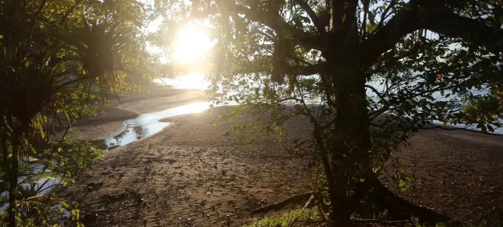 Pristine Costa Rican beach at golden hour with tropical vegetation framing secluded sandy shores