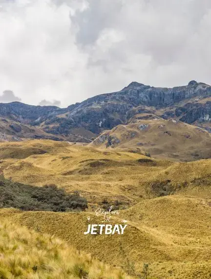 Golden grasslands and rugged Andean peaks surrounding Cuenca Ecuador create dramatic highland scenery