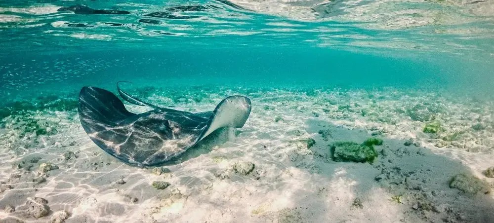 Cultural and natural attractions in Seven Mile Beach featured on a private jet charter itinerary