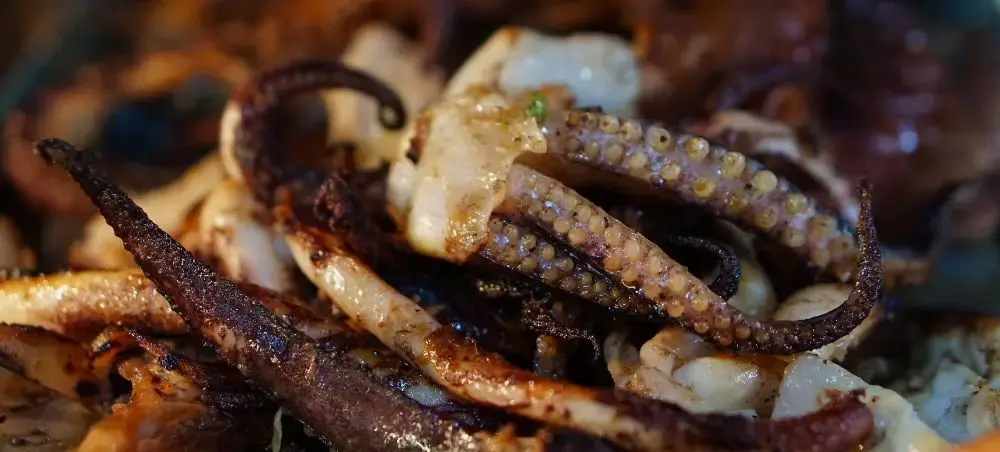 Grilled octopus tentacles with charred edges showcasing Dar es Salaam's renowned coastal seafood cuisine