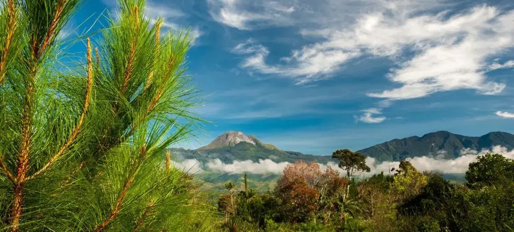 Tropical landscape view of Mount Apo volcano surrounded by lush rainforest near Davao City, Philippines