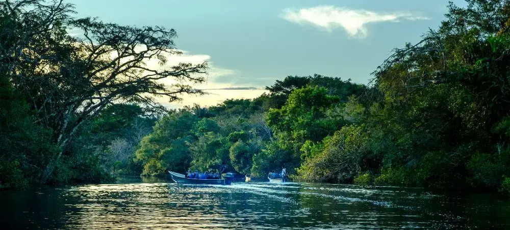 Travelers enjoying a peaceful river excursion through Ecuador's lush rainforest canopy at golden hour