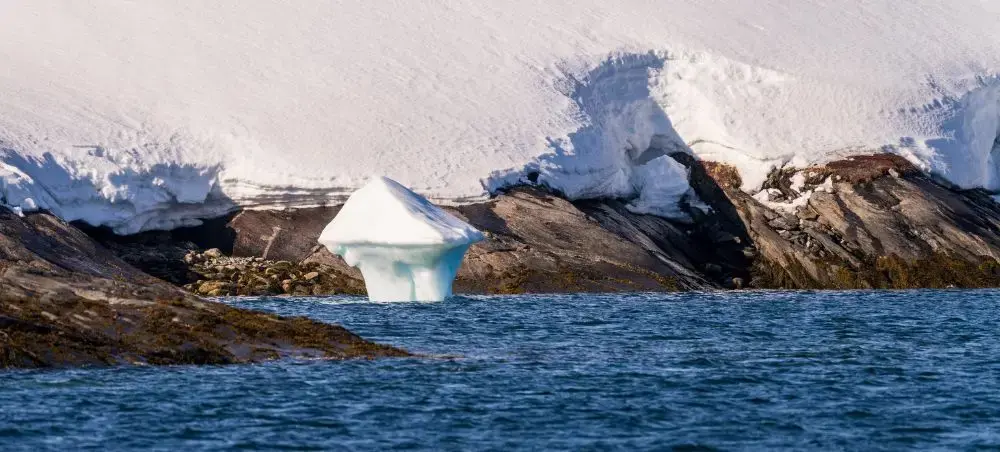 Fine dining restaurant and local cuisine in Nuuk for private jet charter travellers
