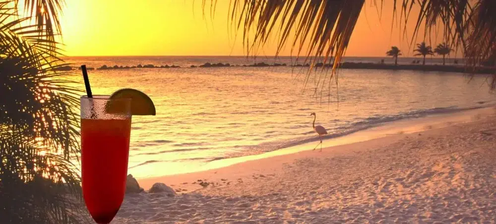 Fine dining restaurant and local cuisine in Palm Beach for private jet charter travellers