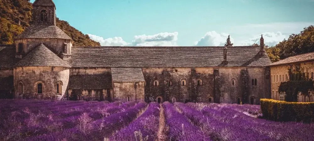 Historic French abbey surrounded by vibrant purple lavender fields in Provence countryside
