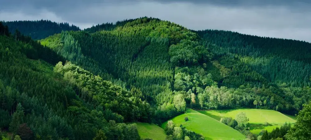 Rolling green hills and dense forests showcase Germany's pristine countryside perfect for luxury travel